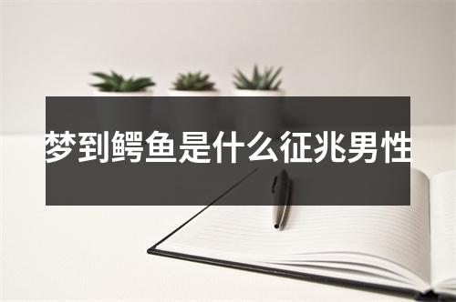 梦到鳄鱼是什么征兆男性