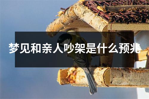 梦见和亲人吵架是什么预兆