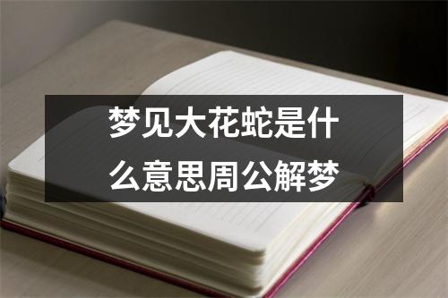 梦见大花蛇是什么意思周公解梦