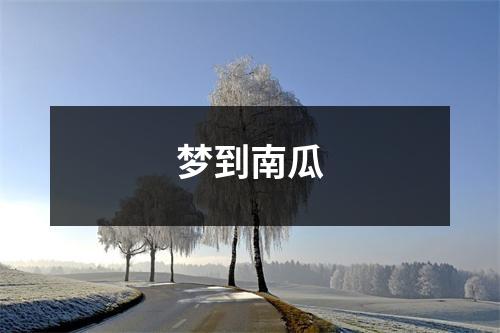 梦到南瓜