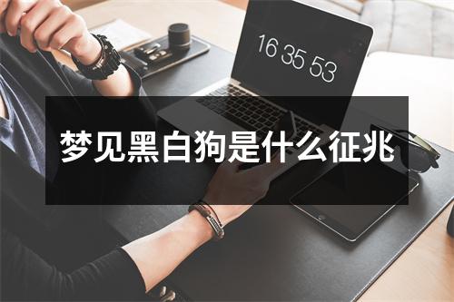 梦见黑白狗是什么征兆