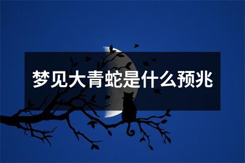 梦见大青蛇是什么预兆