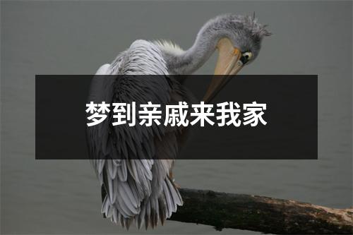 梦到亲戚来我家