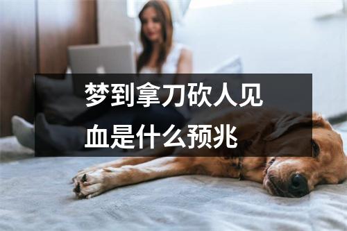 梦到拿刀砍人见血是什么预兆