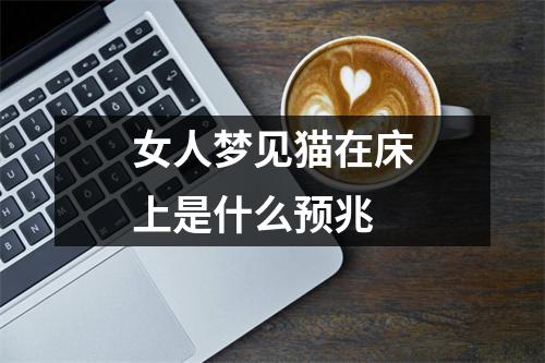 女人梦见猫在床上是什么预兆