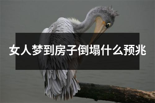 女人梦到房子倒塌什么预兆