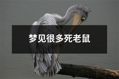 梦见很多死老鼠