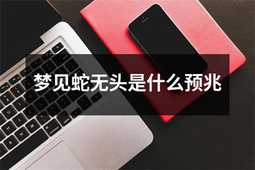 梦见蛇无头是什么预兆