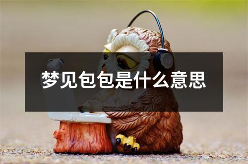 梦见包包是什么意思