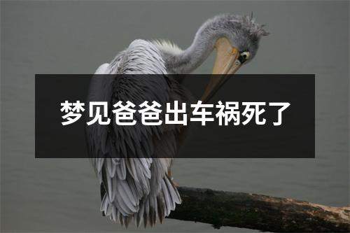 梦见爸爸出车祸死了