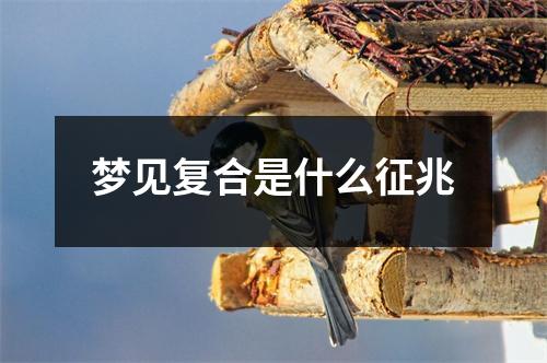 梦见复合是什么征兆