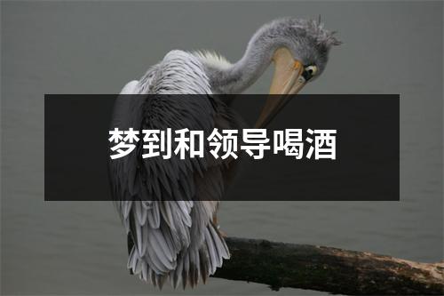 梦到和领导喝酒