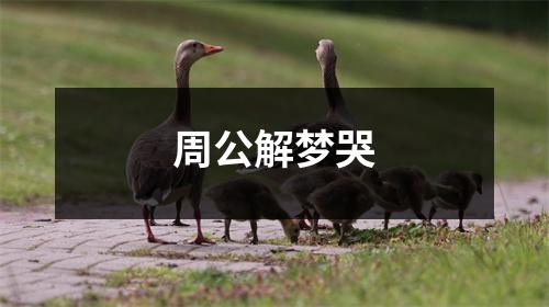 周公解梦哭