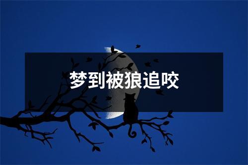 梦到被狼追咬