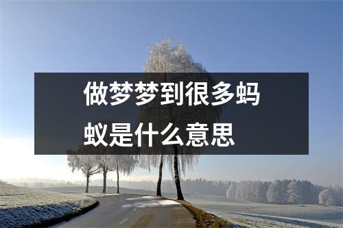 做梦梦到很多蚂蚁是什么意思