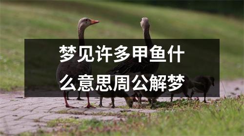 梦见许多甲鱼什么意思周公解梦