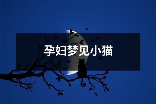 孕妇梦见小猫