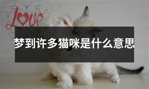 梦到许多猫咪是什么意思