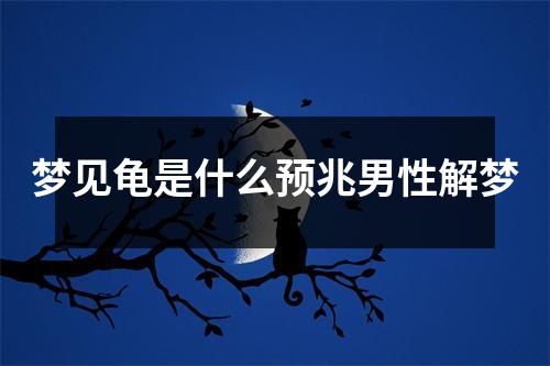 梦见龟是什么预兆男性解梦