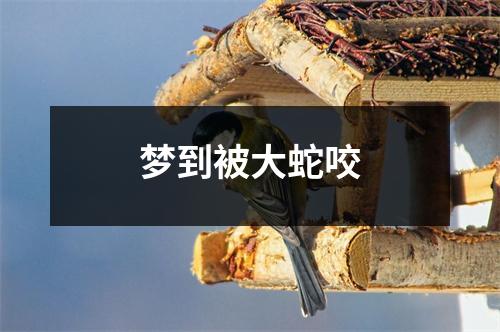 梦到被大蛇咬