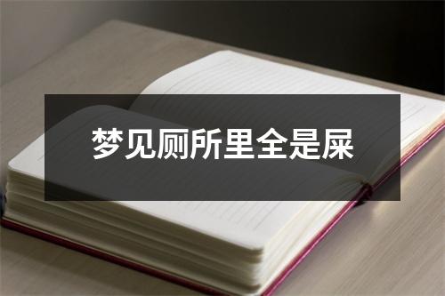 梦见厕所里全是屎