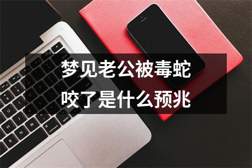 梦见老公被毒蛇咬了是什么预兆