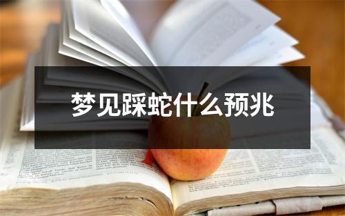 梦见踩蛇什么预兆