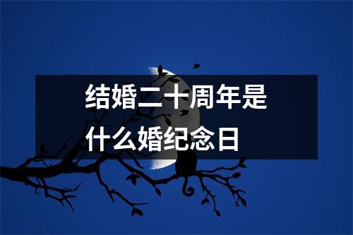 结婚二十周年是什么婚纪念日