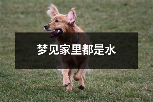 梦见家里都是水