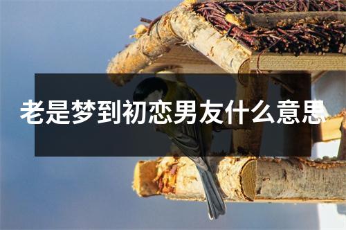 老是梦到初恋男友什么意思