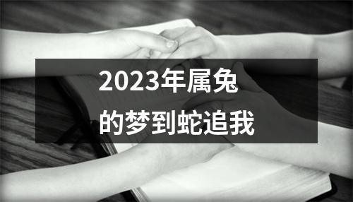 2023年属兔的梦到蛇追我