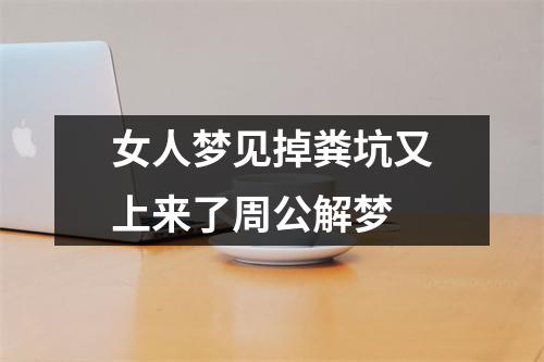 女人梦见掉粪坑又上来了周公解梦