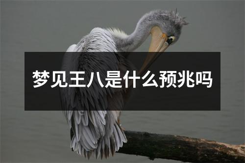 梦见王八是什么预兆吗