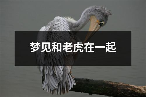 梦见和老虎在一起