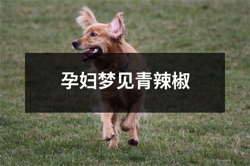 孕妇梦见青辣椒