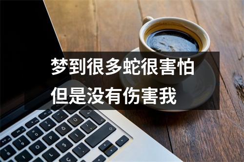 梦到很多蛇很害怕但是没有伤害我