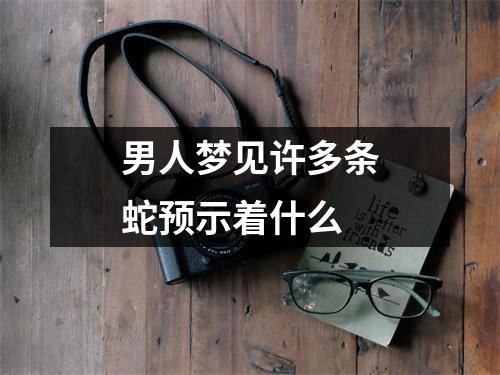 男人梦见许多条蛇预示着什么