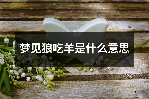 梦见狼吃羊是什么意思