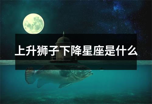 上升狮子下降星座是什么