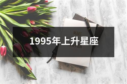 1995年上升星座