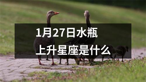 1月27日水瓶上升星座是什么