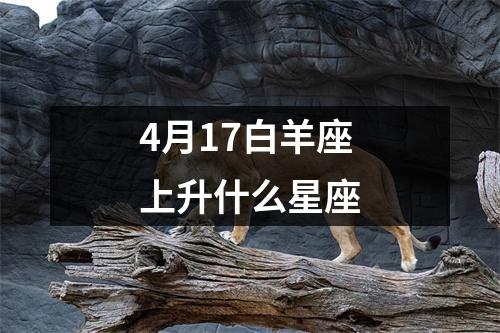 4月17白羊座上升什么星座