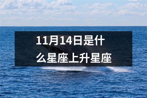 11月14日是什么星座上升星座