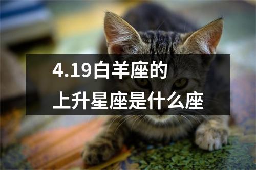 4.19白羊座的上升星座是什么座