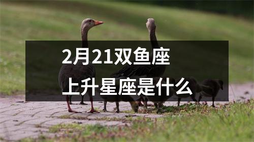 2月21双鱼座上升星座是什么