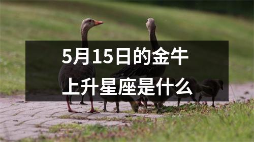 5月15日的金牛上升星座是什么