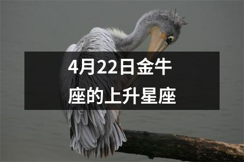 4月22日金牛座的上升星座