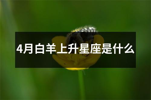 4月白羊上升星座是什么