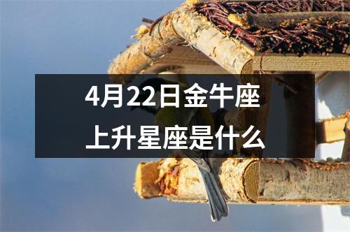 4月22日金牛座上升星座是什么