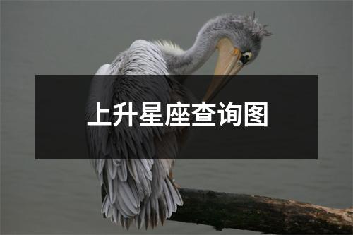 上升星座查询图